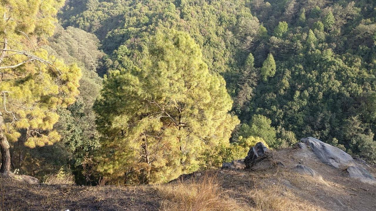 Jungle Crown Organic Homestay Nagarkot Exterior photo