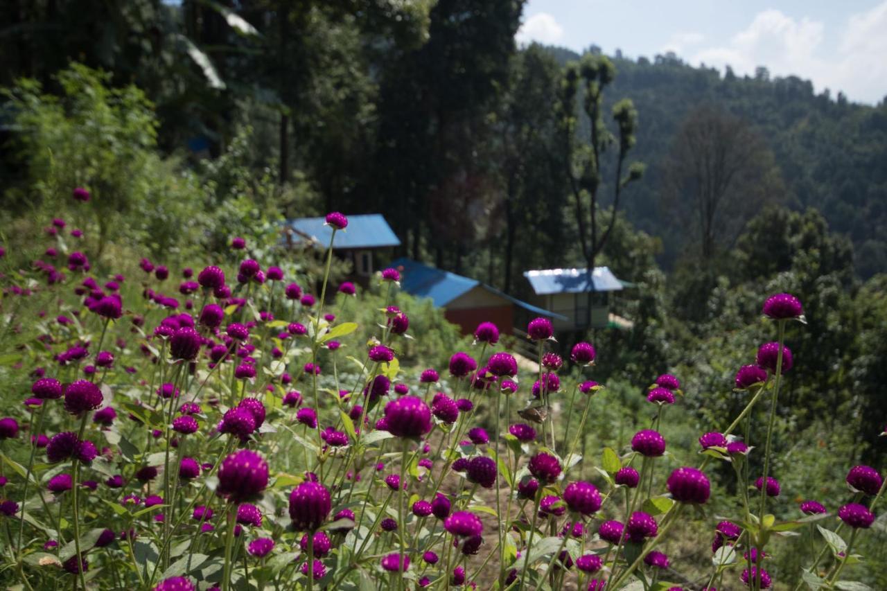 Jungle Crown Organic Homestay Nagarkot Exterior photo